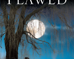 Flawed – a new book by Jen Kearns