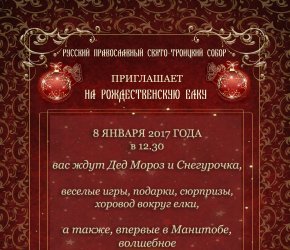 РОЖДЕСТВЕНСКАЯ ЕЛКА и ШОУ СВЕТОВЫХ КАРТИН 'Новогодняя сказка'