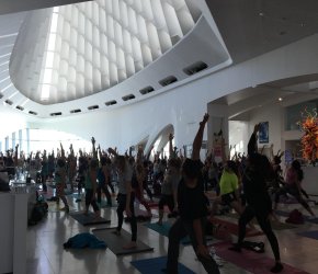 Yoga @ the Museum