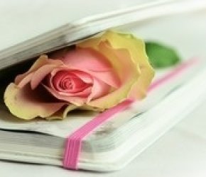 Rose's Book Club