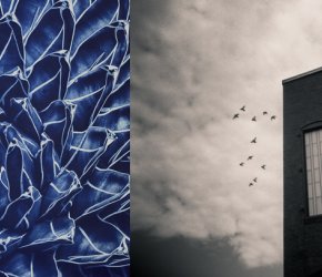 Light Sensitive 2017 - Celebrating Images from the Darkroom