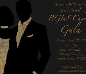 1st Annual BGInS Charity Gala
