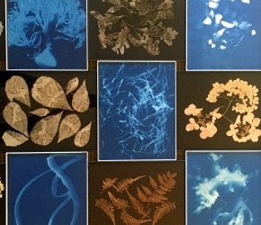 NJ Audubon: Framing Nature exhibition at the Wayrick Wildlife Art Gallery