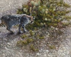 Robert Fobear ‘Nature Embracing Wildlife’