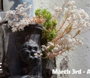 ART OPENING – Urban Nature: The Demand to be Seen