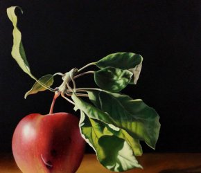 Provender
