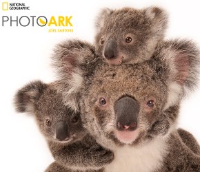 National Geographic Photo Ark Exhibition