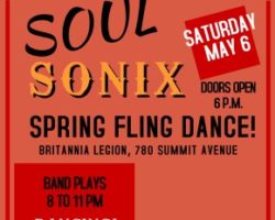 Spring Fling dance with SoulSonix