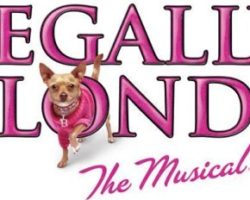 Starting Arts’ production of Legally Blonde presented by DreamTeam 2