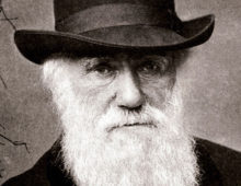 Darwin Says