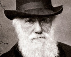 Darwin Says