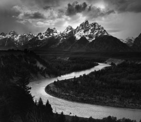 CREATIVE MINDS: MICHAEL ADAMS