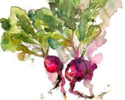 Whimsical Watercolour Veggies with Crystal Beshara