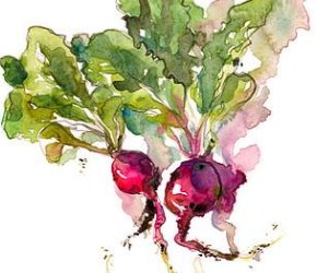Whimsical Watercolour Veggies with Crystal Beshara
