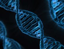 Darlene Left Her DNA All Over My Dreams