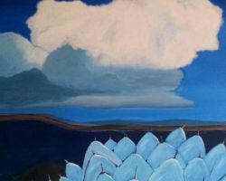 Sonoran Shades exhibit free opening reception