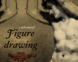 Figure Drawing – Beyond Basics 2017