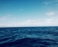 Last Swim