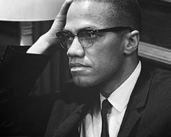 Remember Malcolm X with a political article