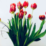 Flower Photo Three