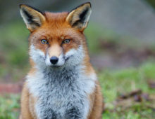 On Taking Back What Was Never Sold