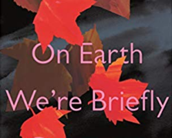 A review of On Earth We Are Briefly Gorgeous