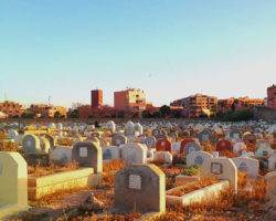 Impressions of Her Landscape Through an Urban Graveyard