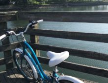 An ARTistic Ride