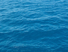 Brilliant Blue