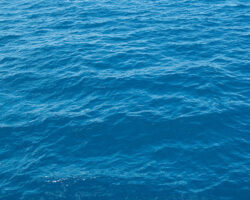 Brilliant Blue