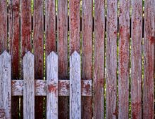 disseverance
