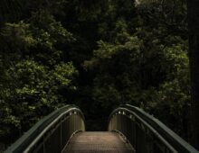 Bridge Of Dreams