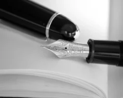 The pen and the brush are all I have