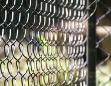 The Cage