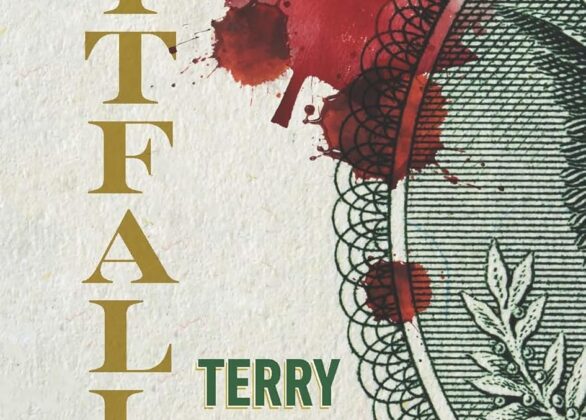 Review of Pitfall by Terry Kirk