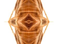 The Sudden Whisper Between Silk and Flesh