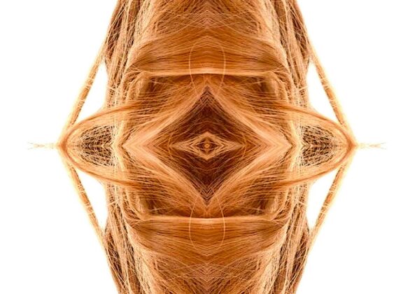 The Sudden Whisper Between Silk and Flesh