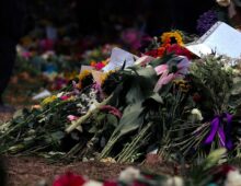 Jiaan’s Flowers