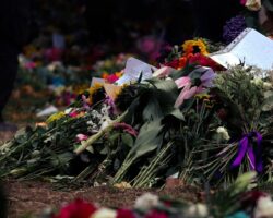 Jiaan’s Flowers
