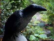 Edgar Allan Poe: Writer in Residence