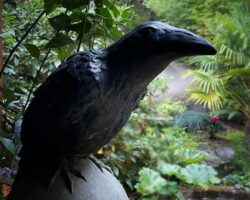 Edgar Allan Poe: Writer in Residence
