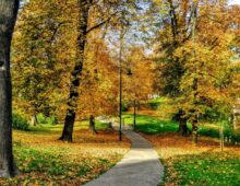 A Walk in the Park
