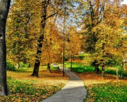 A Walk in the Park